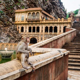 IN_AL_JAI_Galtaji tempel