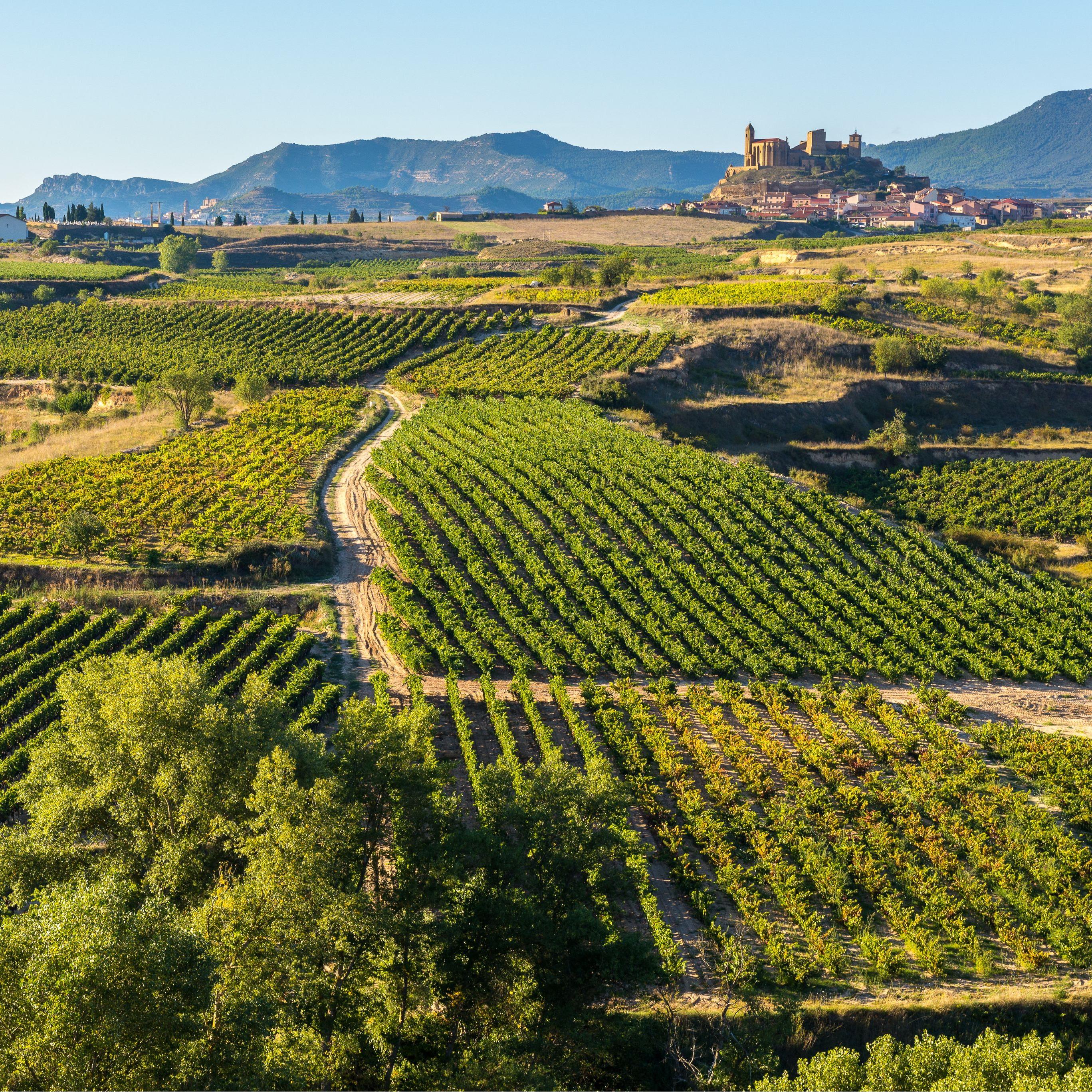 Rioja-streek