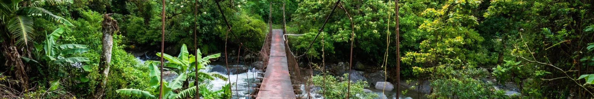 Panama Boquete