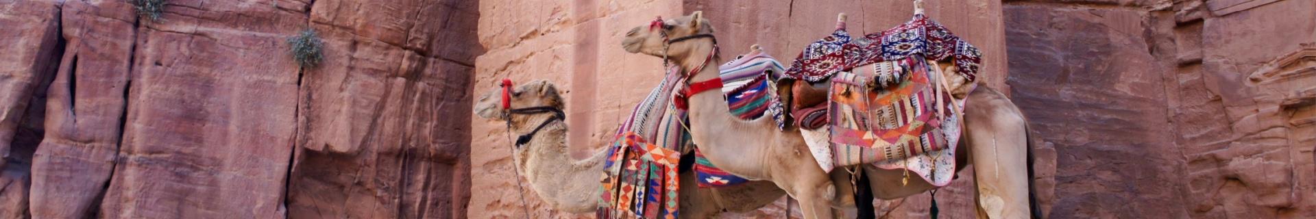 Familiegroepsreis Jordanië