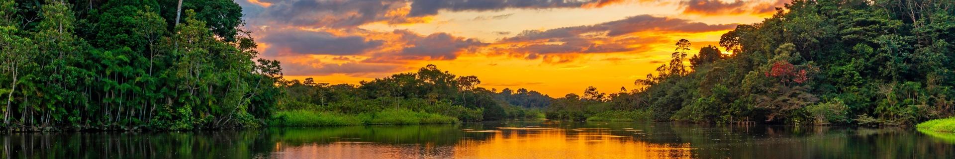 Jungle met ondergaande zon in Suriname