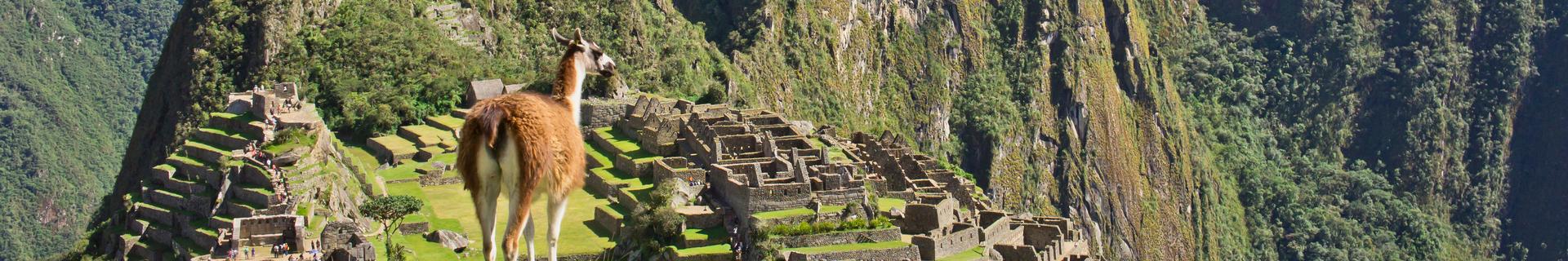 Familiegroepsreis Peru