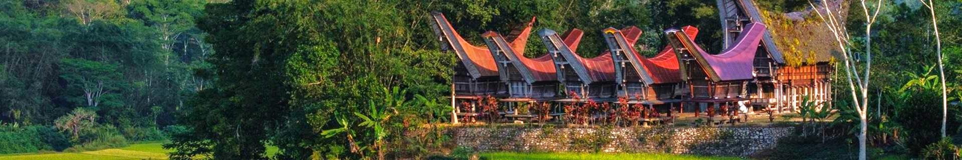 Traditionele Tongkonan huizen op Sulawesi