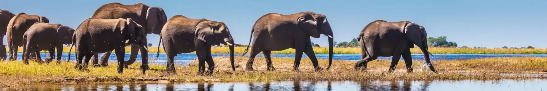 Zuid-Afrika, Namibië, Botswana & Zimbabwe