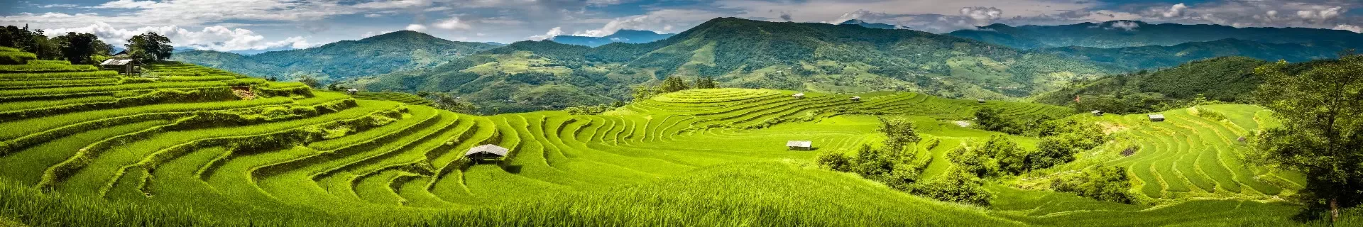 Authentiek Vietnam incl. Sapa