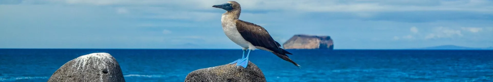 Ecuador & de Galápagos