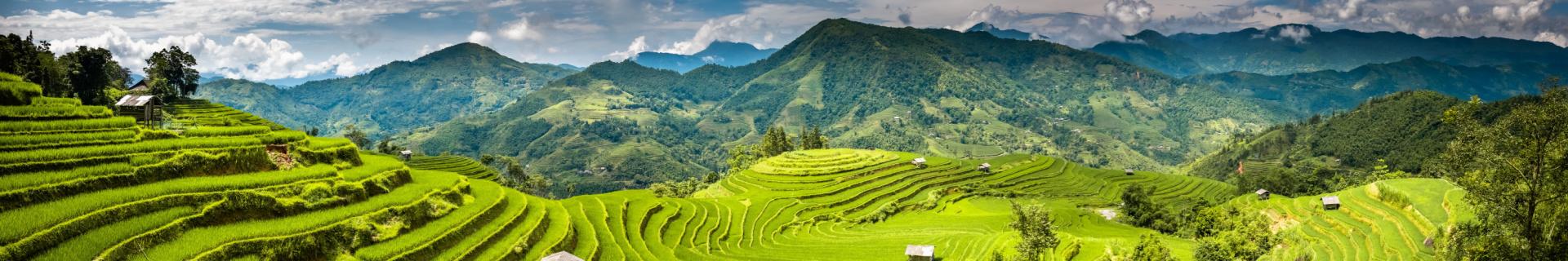 Sapa