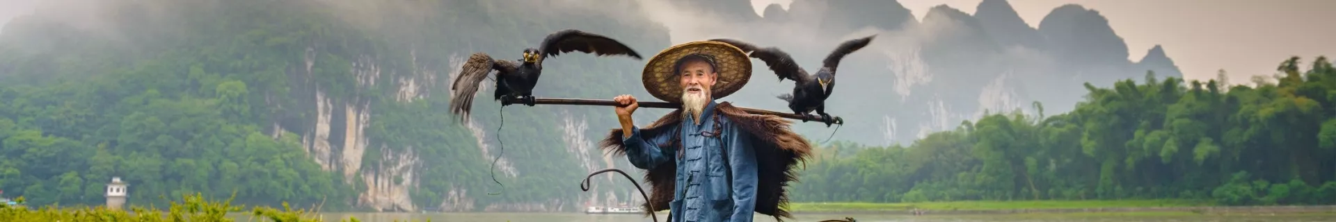 China, Aalscholvervisser bij Yangshuo