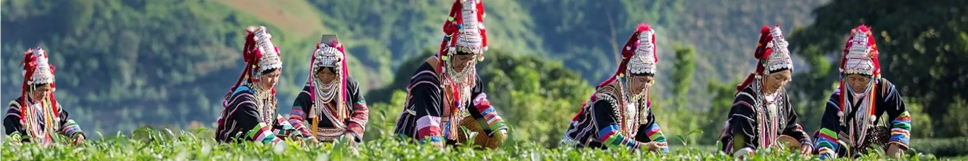 Chiang Rai