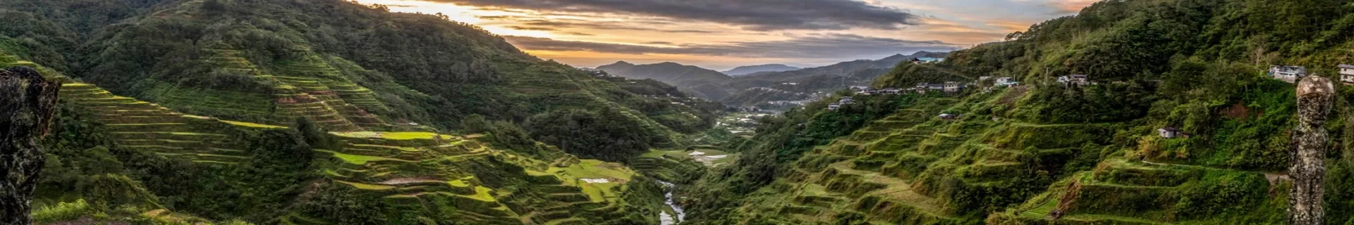 Rijstvelden Banaue