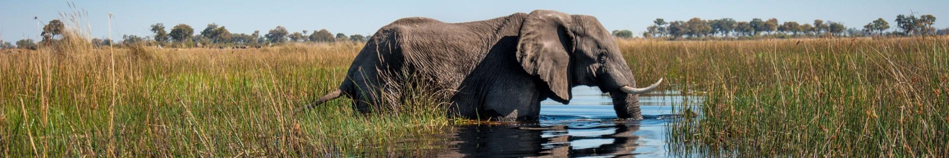 Groepsreis Namibië, Botswana & Zimbabwe