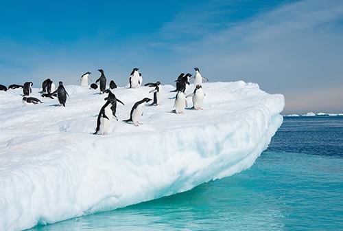 Vakantie naar Zuid-Amerika en Antarctica (9)