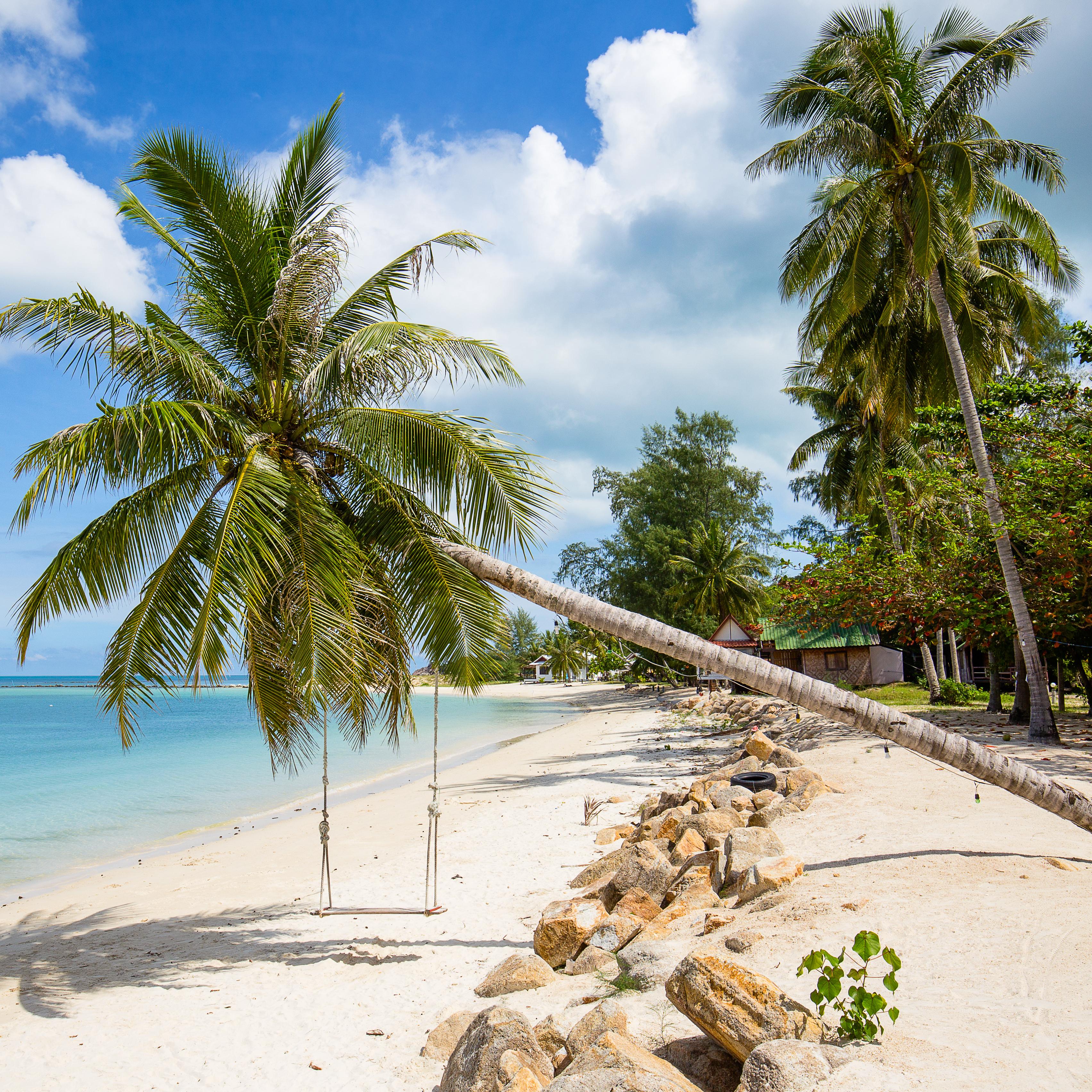 Schommel, Koh Phangan