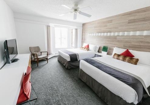 Elk + Avenue Hotel Banff, kamer