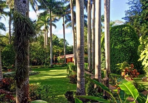 Hacienda Chichén Resort, tuin