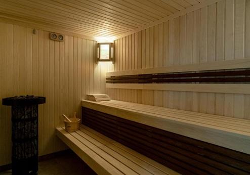 Ani Forest Hills Hotel and Resort, sauna