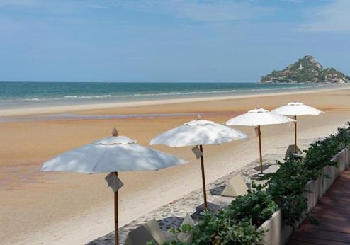 Loligo Resort, strand