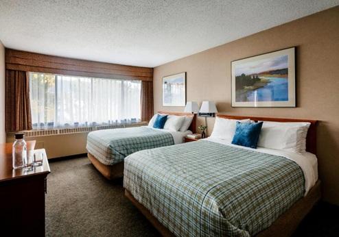 Lobstick Lodge Jasper, kamer