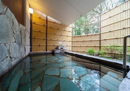 Gora Hotel Paipu No Kemuri, onsen