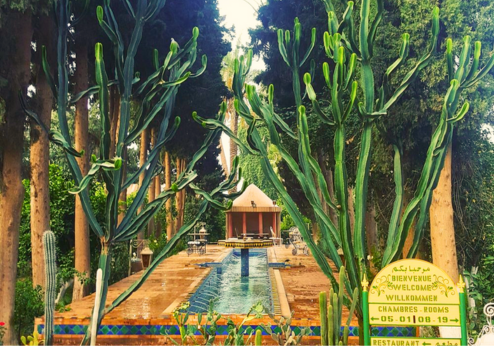 Riad Hida, tuin