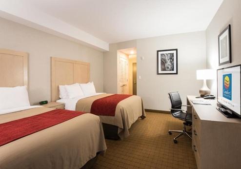 Comfort Inn & Suites Campbell River, kamer