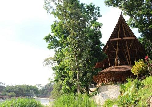 Ecolodge Bukit Lawang, exterieur