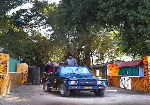 Mogli Jungle Resort, auto