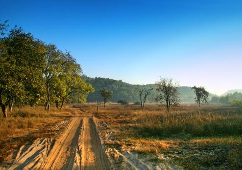 Bandhavgarh Nationaal Park