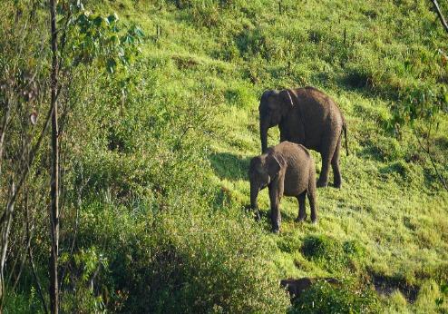 Periyar Nationaal Park