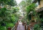 Centara Koh Chang Tropicana Resort, tuin