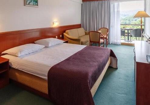 Hotel Jezero, standaardkamer