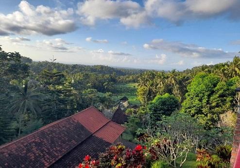 Kebun Villas, uitzicht