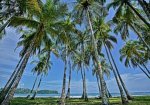 Nammb&uacute; Beachfront Bungalows, strand