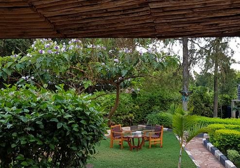 Mwitongo Lodge,  tuin