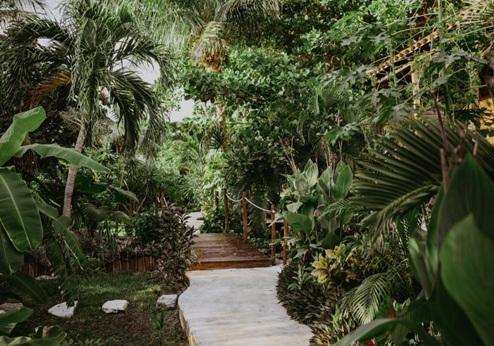 Petit Lafitte, tuin