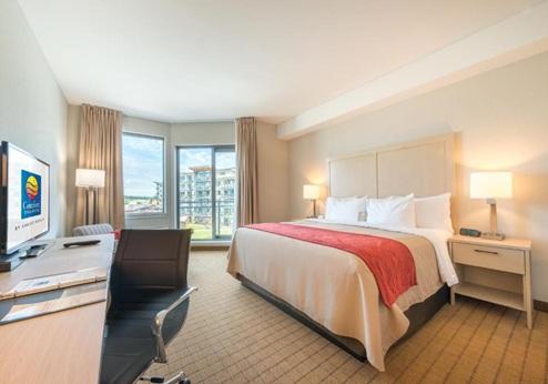 Comfort Inn & Suites Campbell River, kamer