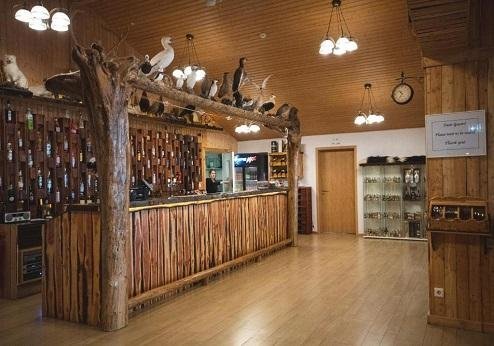 Hotel Dyrhólaey, bar