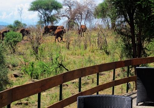 Tarangire Sopa Lodge, uitzicht