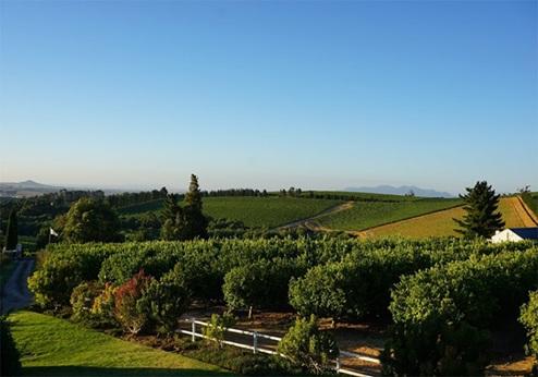 Marianne Wine Estate, uitzicht