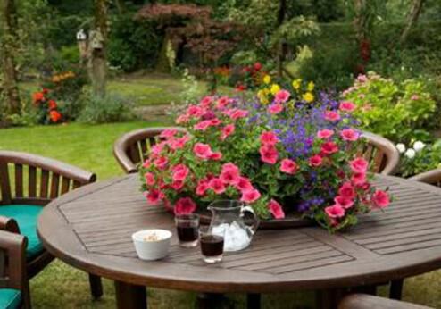 Mena House B&B, tuin