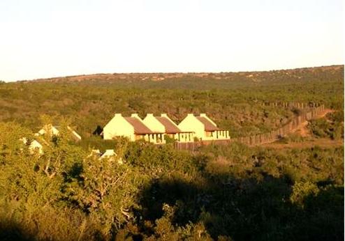 Addo Rest Camp, overzicht