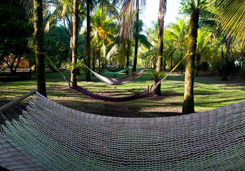 Turtle Beach Lodge, tuin