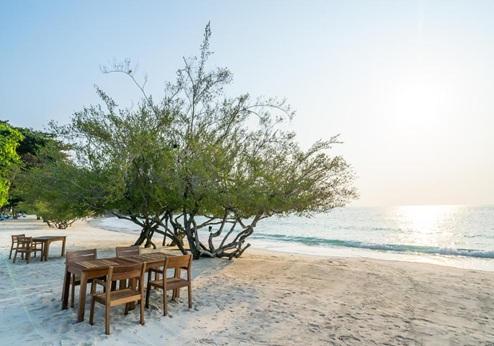 Paradee Resort, restaurant