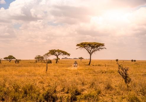 Serengeti Kati Kati Tented Camp, omgeving
