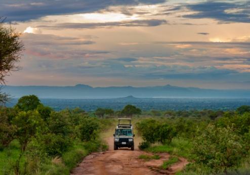 Tarangire Nationaal Park, safari