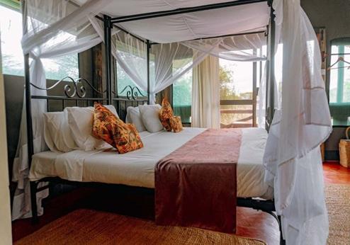 Kirurumu Under Canvas, kamer