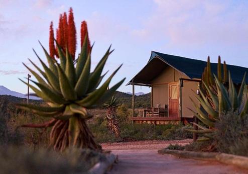 Buffelsdrift Game Lodge, exterieur
