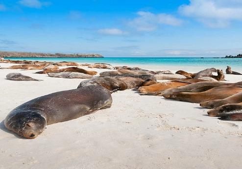 Santa Cruz, de Galapagos