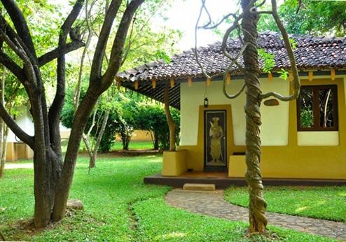 Amaya Lake Resort, tuin