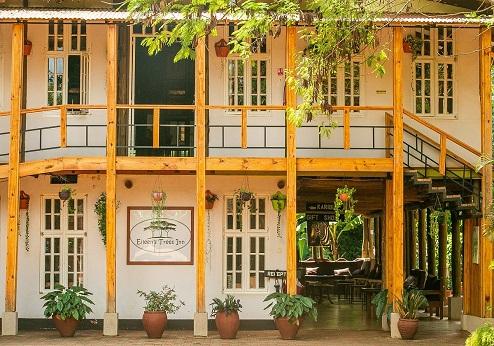Eileen's Tree Inn, buitenkant